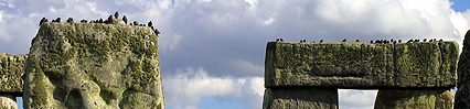 034449_a9c7b03b bird's resting place stonehenge close-up
